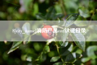 晋中消防产品cccf认证目录