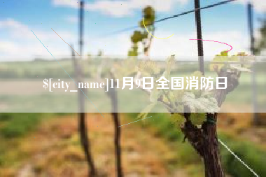 晋中11月9日全国消防日