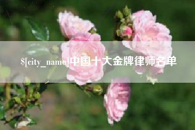 晋中中国十大金牌律师名单
