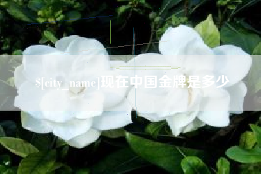 晋中现在中国金牌是多少