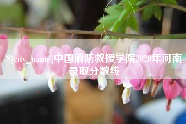 晋中中国消防救援学院2020年河南录取分数线