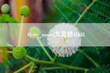 晋中九宫格42633