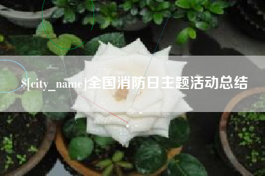 晋中全国消防日主题活动总结
