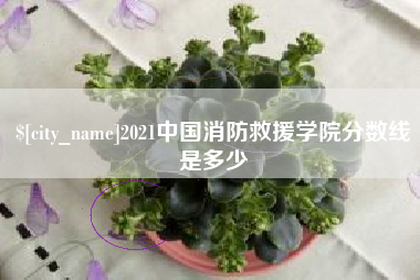 晋中2021中国消防救援学院分数线是多少