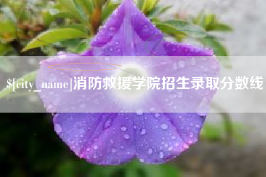 晋中消防救援学院招生录取分数线