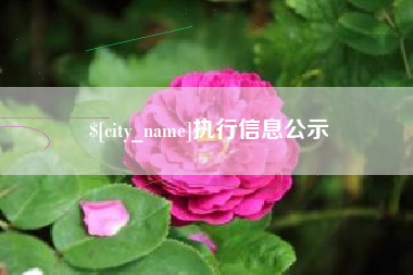 晋中执行信息公示