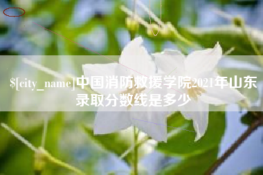 晋中中国消防救援学院2021年山东录取分数线是多少