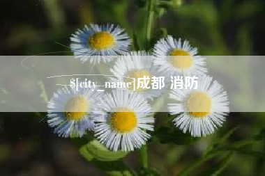 晋中成都 消防