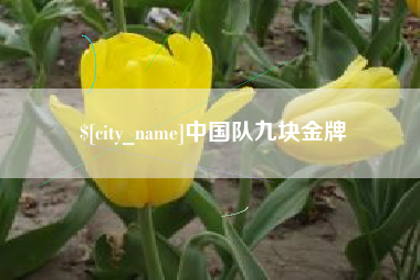 晋中中国队九块金牌