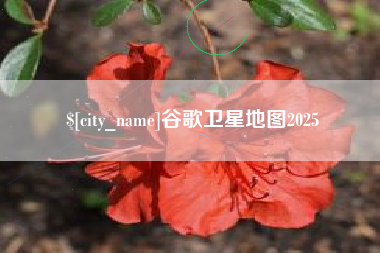 晋中谷歌卫星地图2025