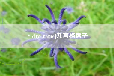 晋中九宫格盘子