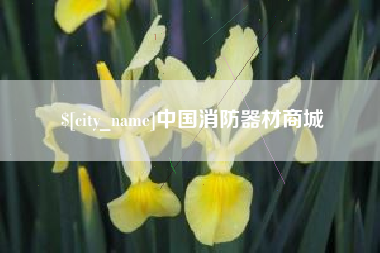晋中中国消防器材商城