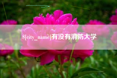 晋中有没有消防大学