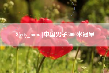 晋中中国男子5000米冠军