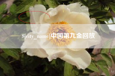晋中中国第九金回放