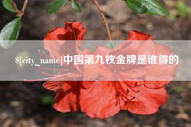 晋中中国第九枚金牌是谁得的
