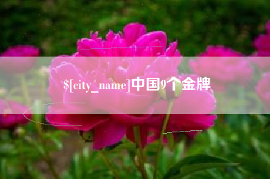 晋中中国9个金牌