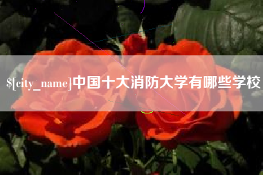 晋中中国十大消防大学有哪些学校