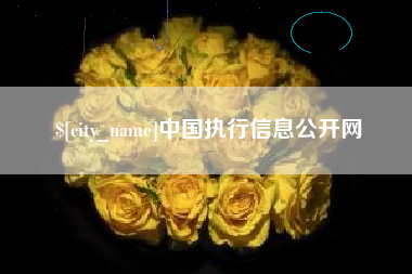 晋中中国执行信息公开网