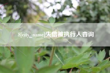晋中失信被执行人杳询