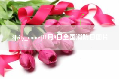 晋中11月9日全国消防日图片