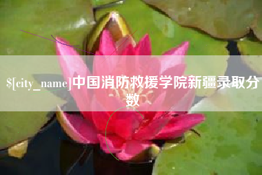 晋中中国消防救援学院新疆录取分数