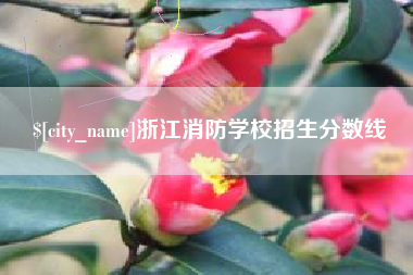 晋中浙江消防学校招生分数线