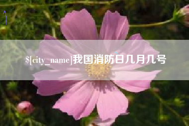 晋中我国消防日几月几号