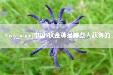 晋中中国6枚金牌是哪些人获得的