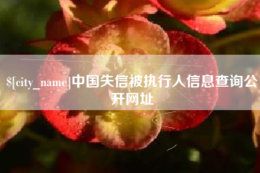 晋中中国失信被执行人信息查询公开网址