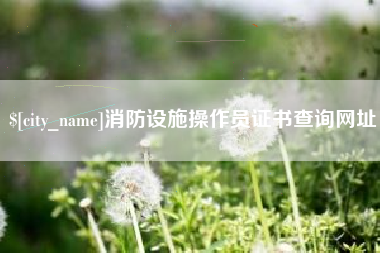 晋中消防设施操作员证书查询网址