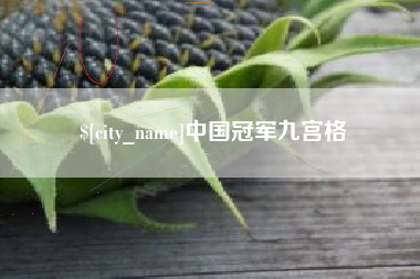 晋中中国冠军九宫格