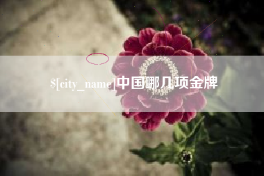 晋中中国哪几项金牌