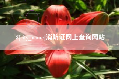 晋中消防证网上查询网站