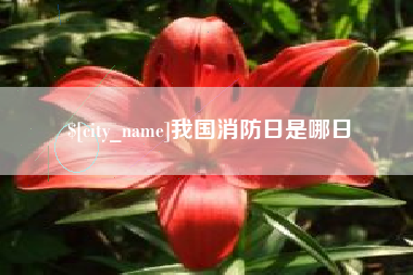 晋中我国消防日是哪日
