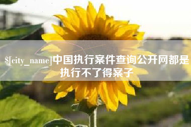 晋中中国执行案件查询公开网都是执行不了得案子