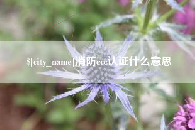 晋中消防ccc认证什么意思