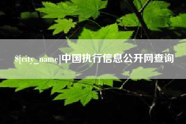 晋中中国执行信息公开网查询