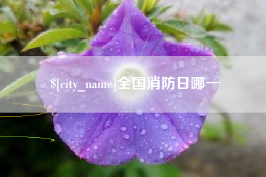 晋中全国消防日哪一