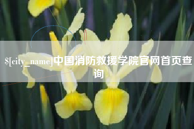 晋中中国消防救援学院官网首页查询