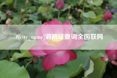 晋中消防证查询全国联网