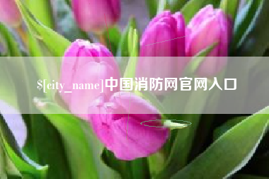 晋中中国消防网官网入口