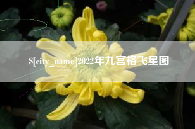 晋中2022年九宫格飞星图