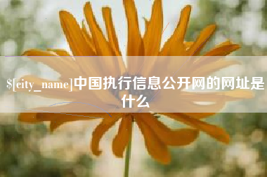 晋中中国执行信息公开网的网址是什么