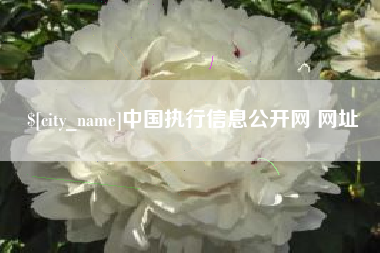 晋中中国执行信息公开网 网址