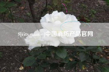 晋中中国消防产品官网