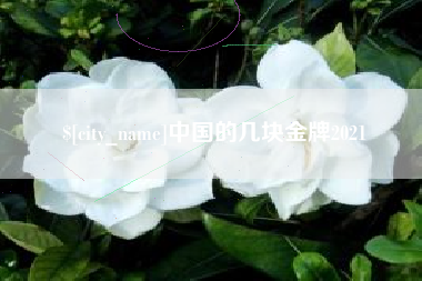 晋中中国的几块金牌2021