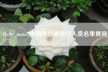 晋中中国失信被执行人员名单查询