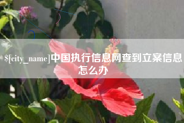 晋中中国执行信息网查到立案信息怎么办
