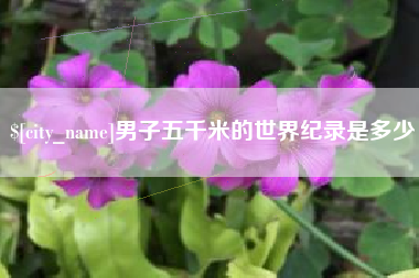 晋中男子五千米的世界纪录是多少